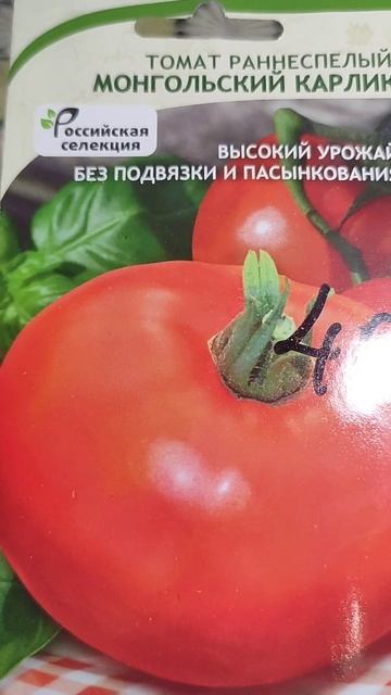 Какие томаты мы посадим впервые в новом огородном сезоне 2025 года.