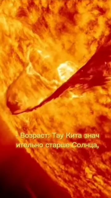 Тау Кита — звезда похоже на наше Солнце. #таукита #tauceti #вселенная #universe #shorts