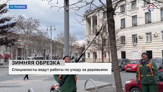 На площади Лазарева провели обрезку деревьев (Дежурный по городу. 22 января 2024)