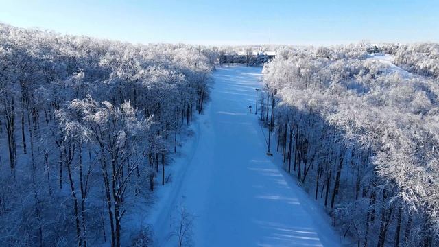 6906495-uhd_3840_2160_30fps