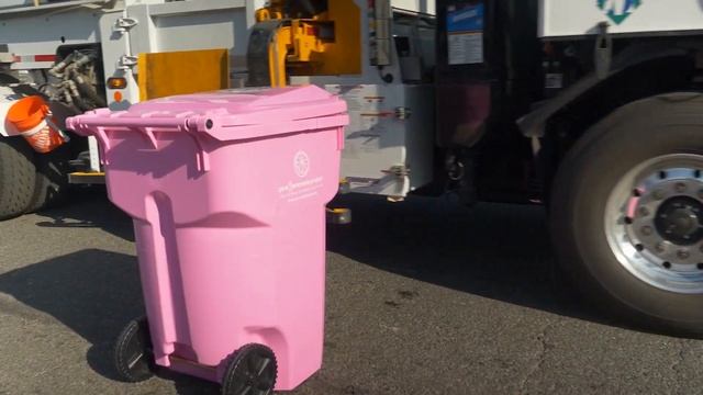 Pink Lemonade Project - Pink Cart 2022