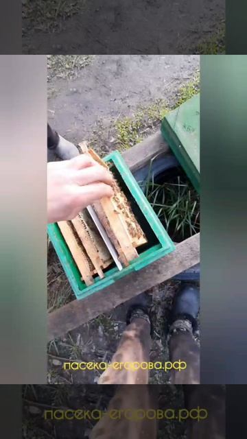 Подготовка маткомест