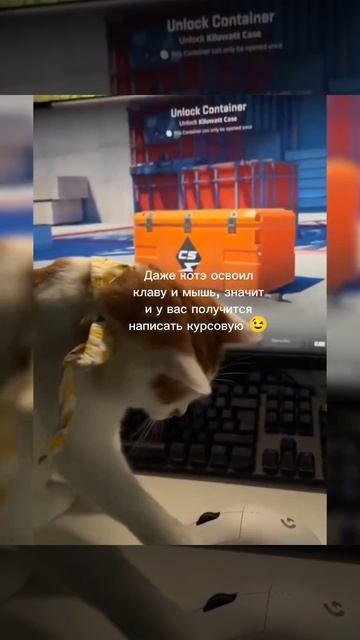 Курсач