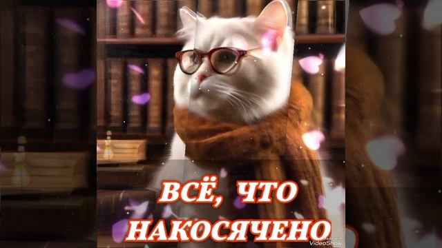 "Библиотекарь" Больше Стихов В моём Телеграмм канале: https://t.me/pro100_ta Заходите...