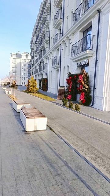 Анапа 22.01.2025