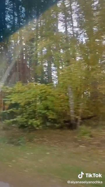 Когда твоё 🩷служит Родине. Спасает "ай на не" поймать ветер.