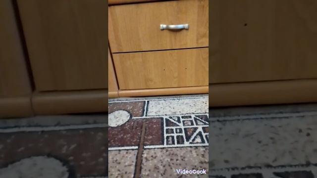 дружок встретимся с смайлами часть 1