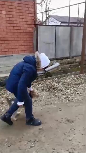 1000003105.mp4