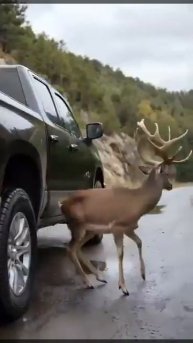 Никогда не ждёшь откуда прийдёт спасение 🙏🙏🙏
