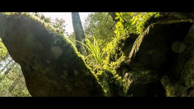 Dmitry Glushkov - Closer to me  Original mix