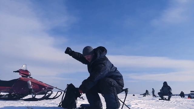 Рыбалка на Сахалине. Корюшка - Зубатка.