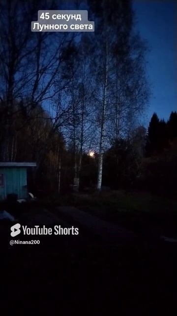 45 секунд лунного света... #нинана200надаче #короткиевидео #шорты