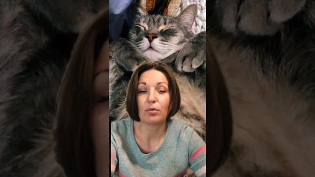 Переезд. Брать кота или нет?
