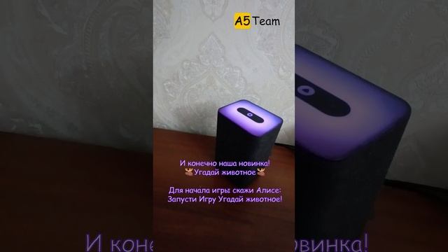 Игры с Алисой: веселье и азарт в каждом слове!