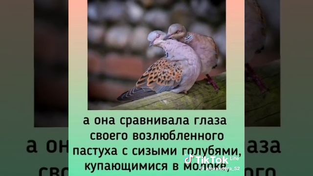 4d46098a684eaffad9233f7fc7f4d3dc_1737564812363