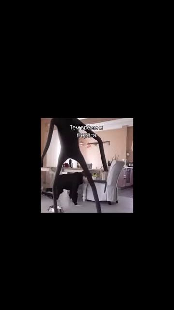 собака 🐕чёрная