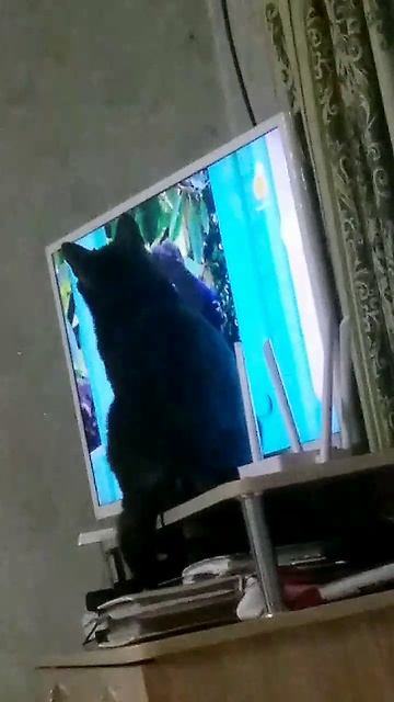 А что это за аппарат такой?
