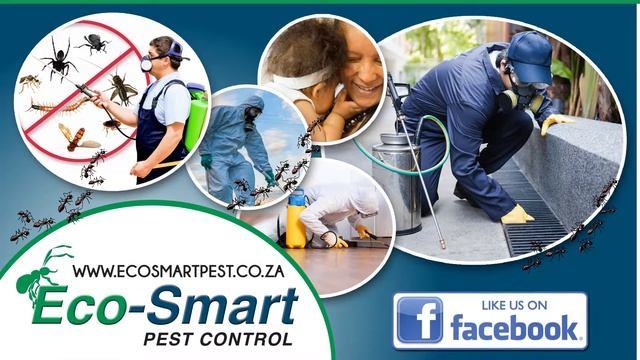 Eco Smart Pest Control Oct 17