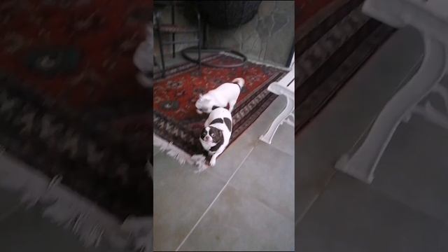 lv_0_20250122135144.mp4