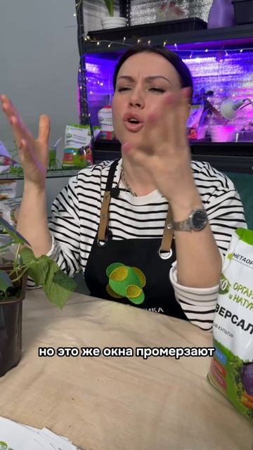 Не всходит рассада на окне? Что делать? 🤔