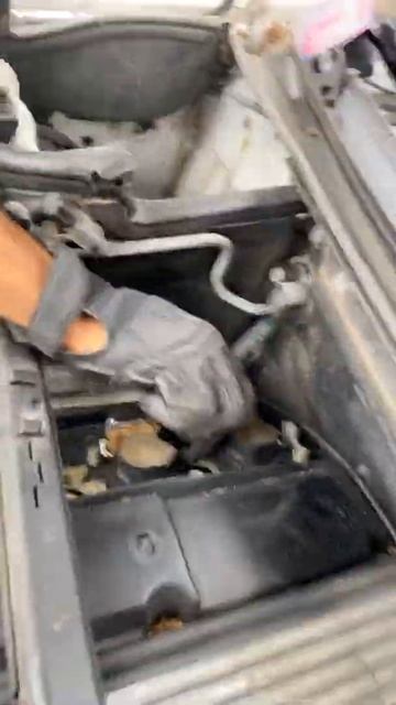 Save a bmw spArk plug change