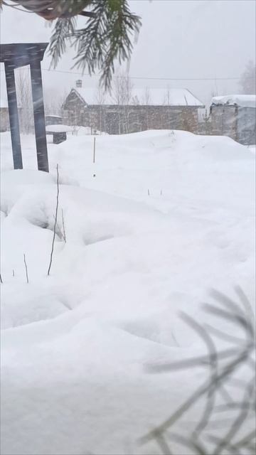 А зима продолжается. Так красиво и тихо в пригороде ❤️
