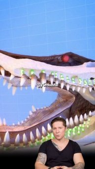 За время своей жизни аллигатор меняет каждый зуб, в среднем, по 50 раз