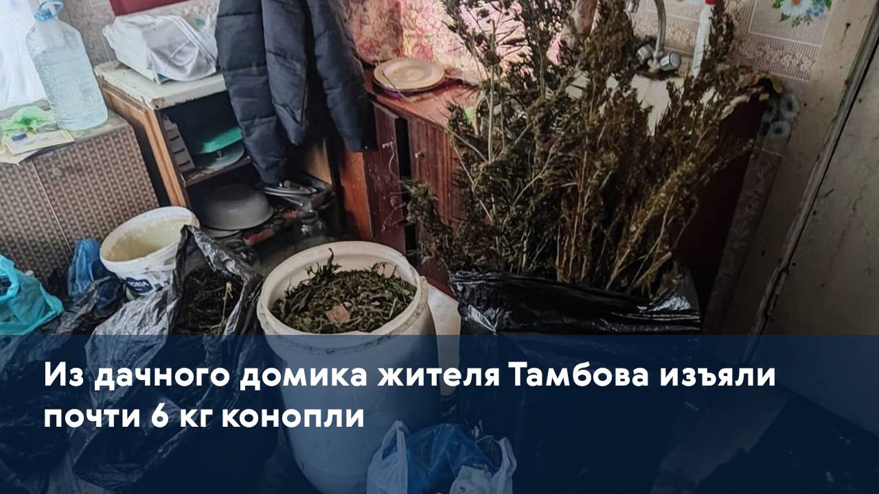 Из дачного домика жителя Тамбова изъяли почти 6 кг конопли