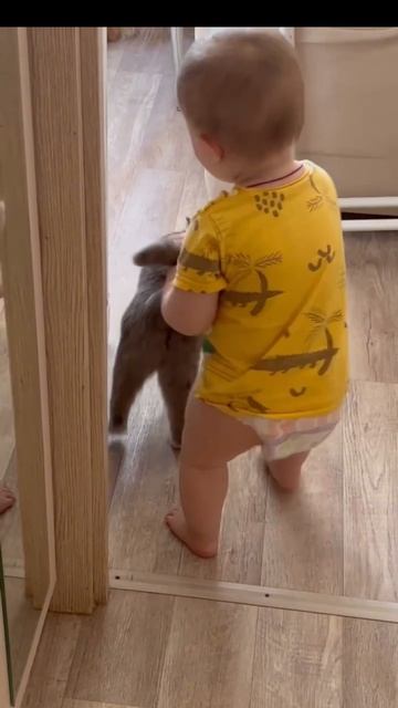 Дружба бывает разная 😂🔥🥰🐈