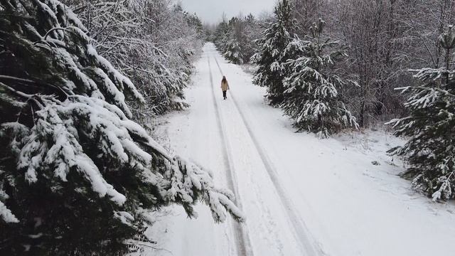 6615851-uhd_2560_1440_25fps