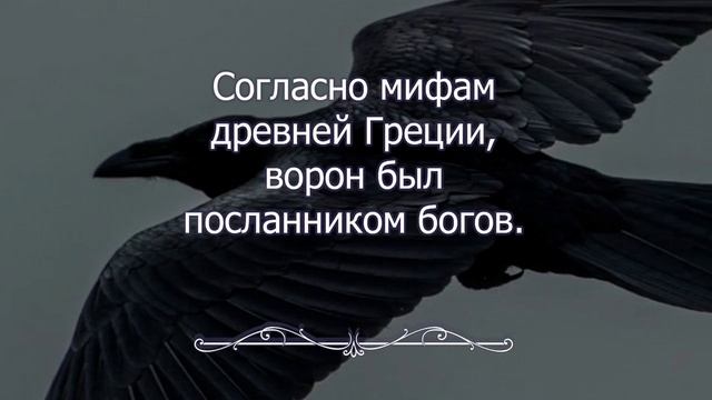 VID_20250122_173800_538