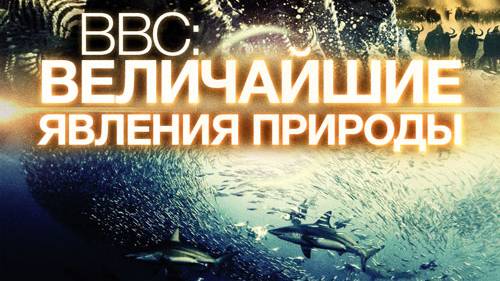 Величайшие явления природы.(2 серия из 6). Великий исход лосося.2009.x264.HDRip.