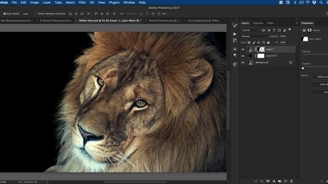 Adobe Photoshop 2021 New Features in 5 Minutes!