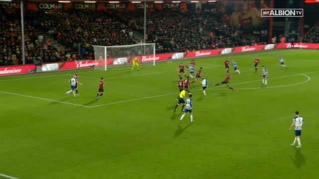 Bournemouth 3 Brighton & Hove Albion
