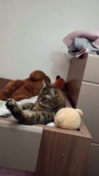 Вот кому этот мир точно понятен