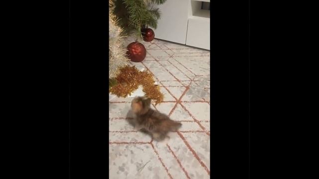 Ёлочная игрушка