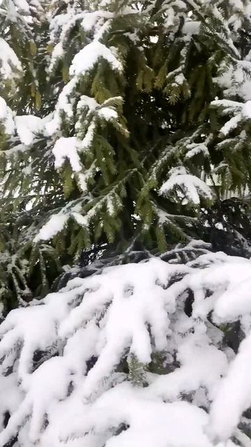 Богиня Мара, встречаем ❄️❄️❄️