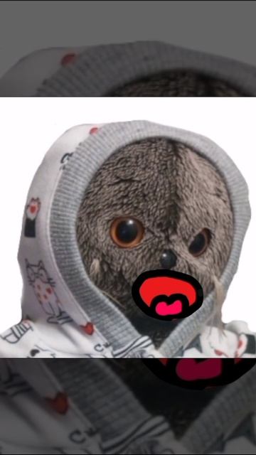 подписывайся !!!!!!!!!!!!