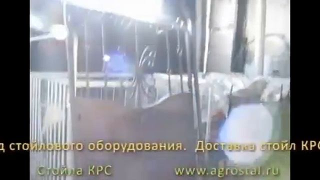 Калитки и ограждения скотопрогонов от Агро-Сталькомплекта