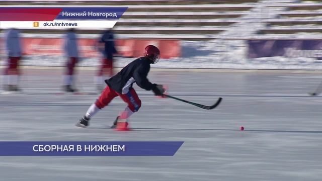 Звезд русского хоккея с мячом на учебно-тренировочных сборах примет Нижний Новгород