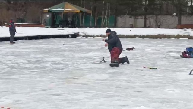 Форель в Голицыно Fish