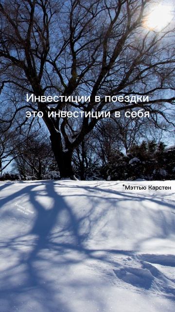 Цитата дня