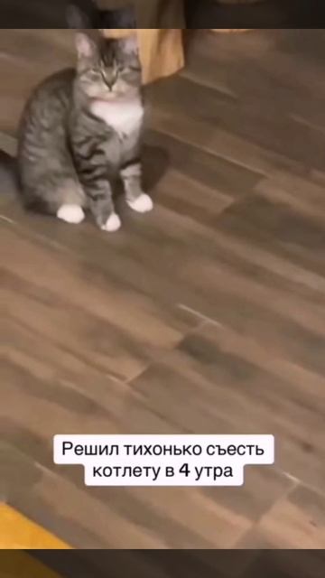 ля ты 🐀 🤣