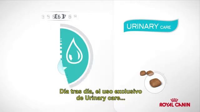 Royal Canin Urinary S/O    Ayuda a mantener la salud del sistema urinario