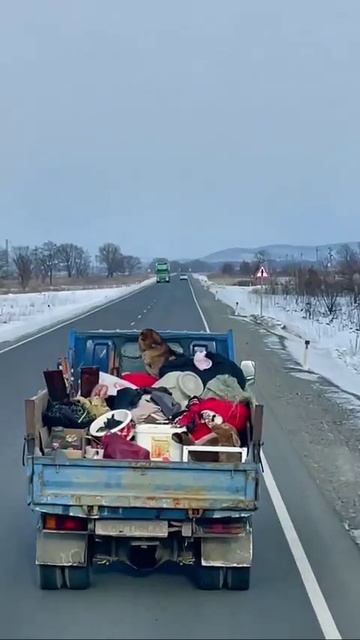 Мы в ВК https://vk.com/life_of_cats