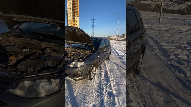 Калина 2018 год