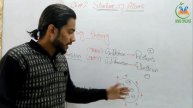 Plum Pudding Theory | Structure Of Atoms | Hms Online
