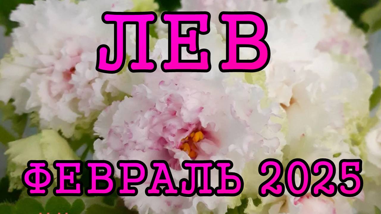 ЛЕВ таро прогноз на ФЕВРАЛЬ 2025 года.