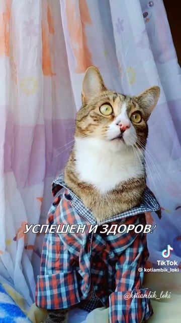 поздравляем папу