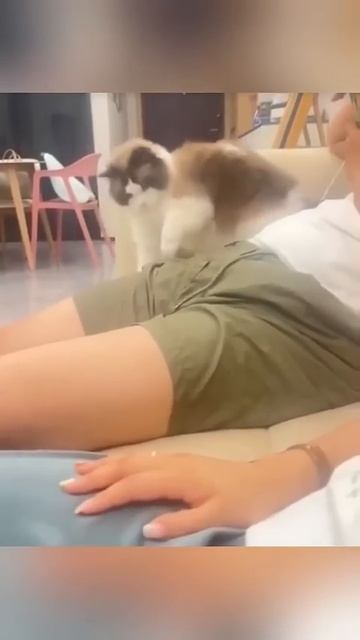 Повторюшки